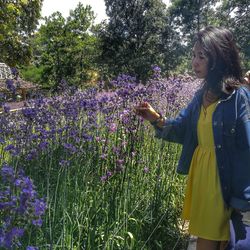 Woman standing by purple flowering plants on field