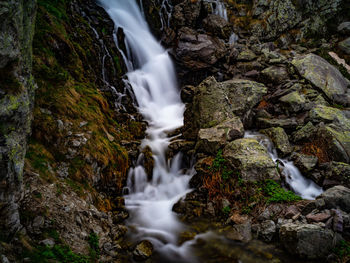 Scenic view of waterfall in forest