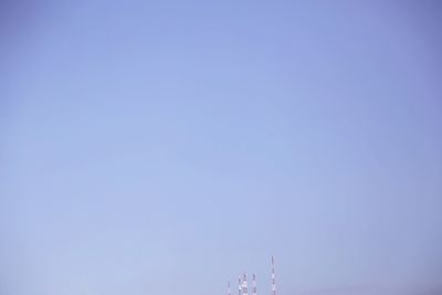 Low angle view of tree against blue sky