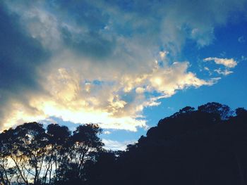 Low angle view of trees against cloudy sky