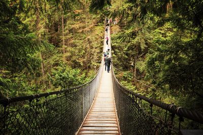 People on footbridge amidst trees at forest