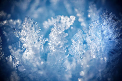 Close-up of snow on glass