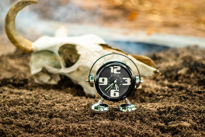 Close-up of clock on the ground