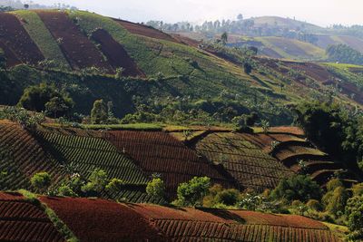 Land terrace in lembang