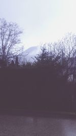 Scenic view of trees against clear sky