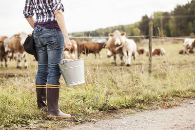 Low section of female farmer with bucket standing at field with animals grazing in background