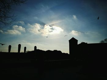 Silhouette birds flying against sky during sunset