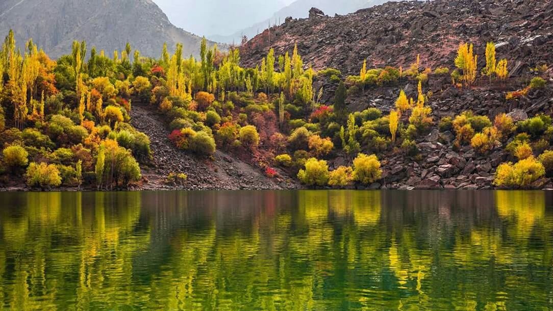 SCENIC VIEW OF LAKE AGAINST TREES IN FOREST