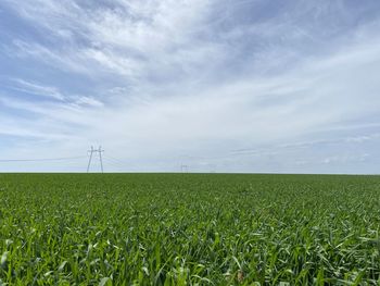 Scenic view of agricultural field against sky