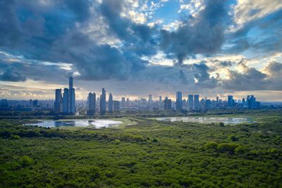 Puerto madero district seen from reserva ecologica public park