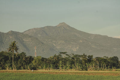 Scenic view of field and mountains against sky