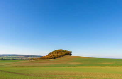 Scenic view of field against clear blue sky