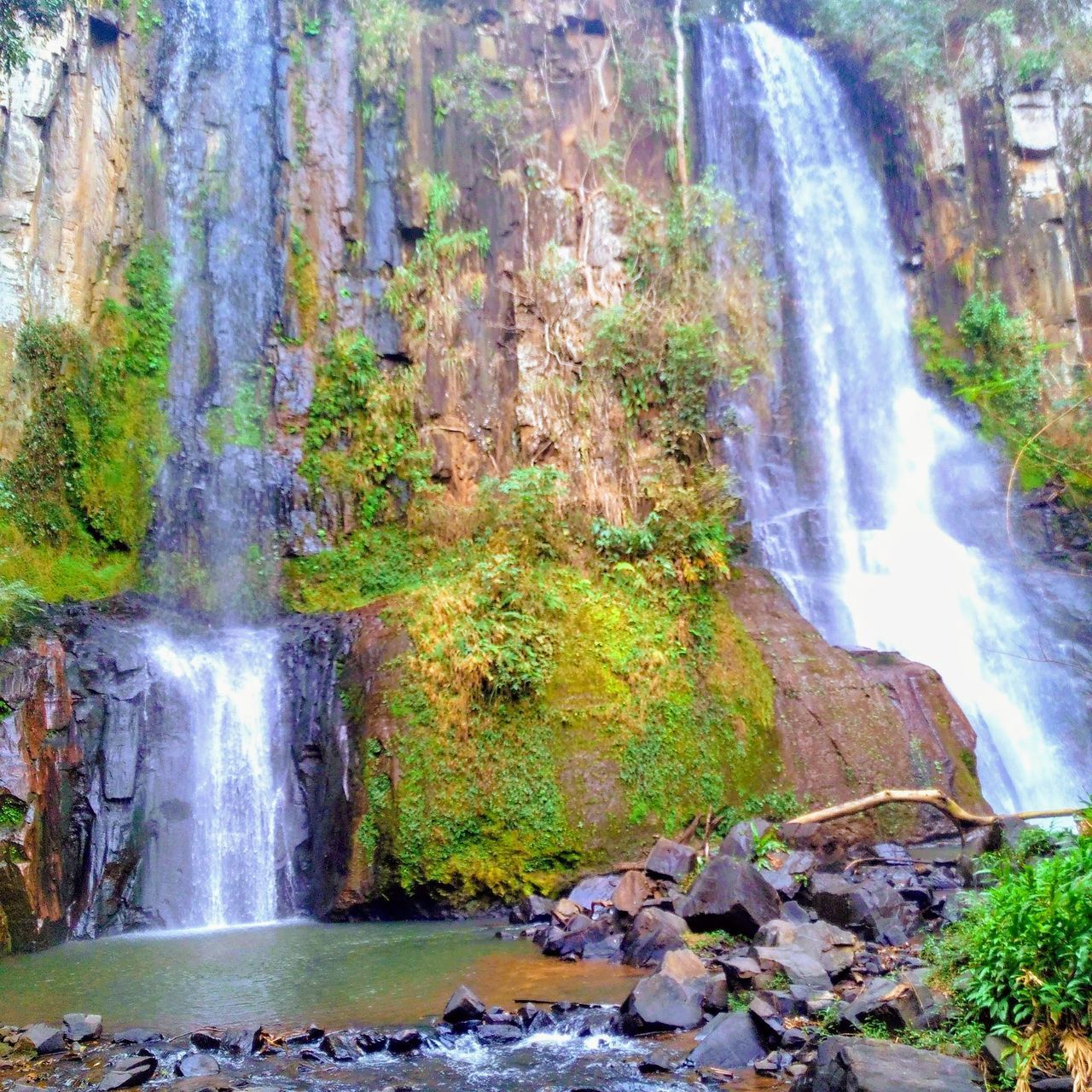 VIEW OF WATERFALL IN FOREST