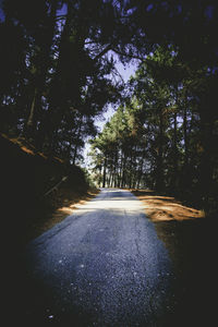 Road amidst trees against sky