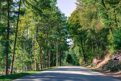 Road amidst trees in forest