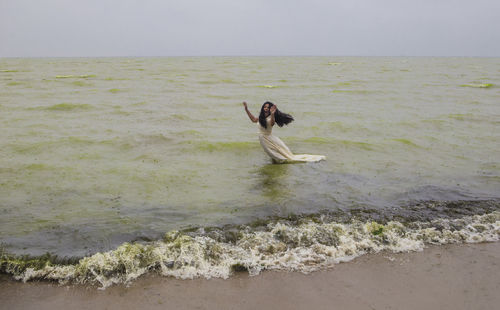 Horse in sea against sky