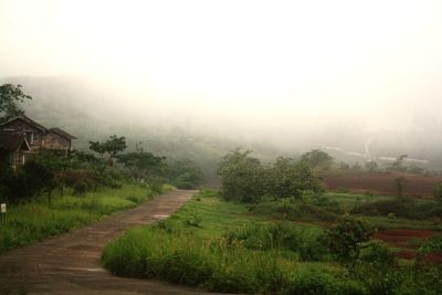 Scenic view of field against sky during foggy weather