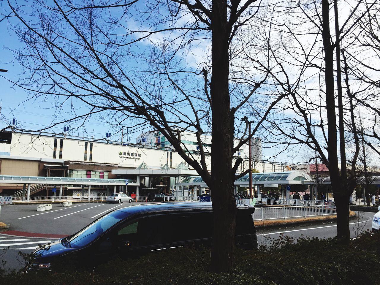 bare tree, architecture, built structure, building exterior, tree, transportation, city, car, mode of transport, branch, street, clear sky, land vehicle, road, sky, incidental people, tree trunk, day, outdoors, city life