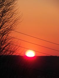 Low angle view of silhouette trees against orange sky