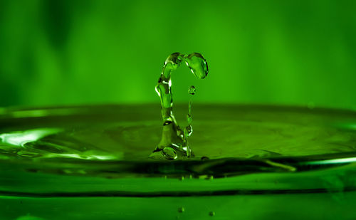 Close-up of drop falling on water