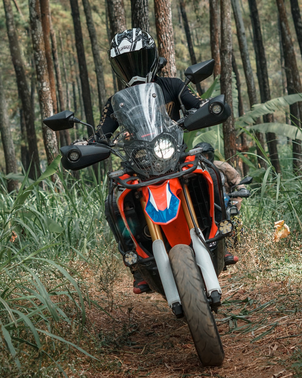 BICYCLE IN FOREST