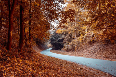 Road amidst trees in forest during autumn