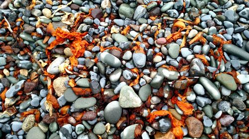 Full frame shot of pebbles