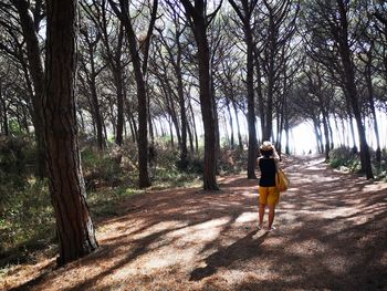 Rear view of woman walking amidst trees in forest