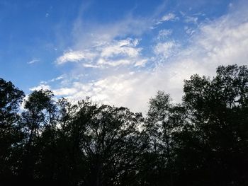 Low angle view of silhouette trees against sky