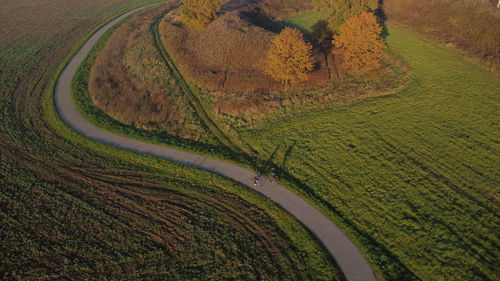 High angle view of agricultural field