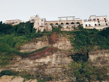 Trees in city against clear sky
