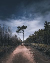 Dirt road amidst trees on field against sky