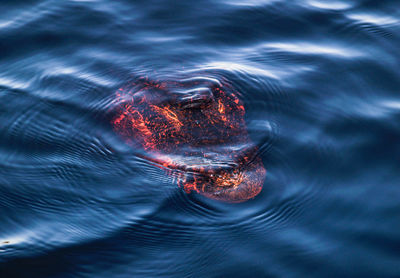 Reflection of sky in water