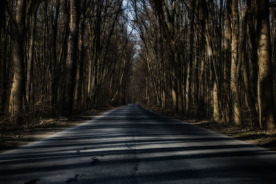 Road passing through forest