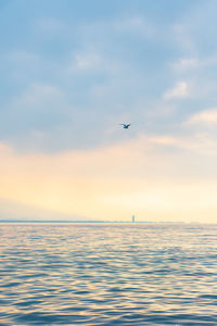 Bird flying over sea against sky