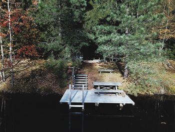 View of empty road amidst trees in forest