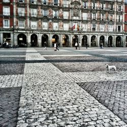 Buildings in city