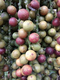 Full frame shot of grapes