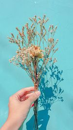 Midsection of person holding flowering plant against blue sky