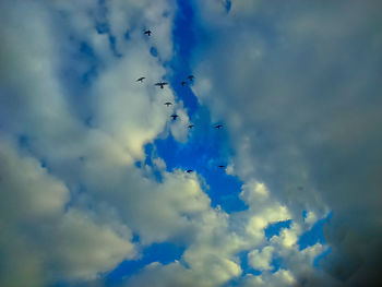 Low angle view of birds flying against sky