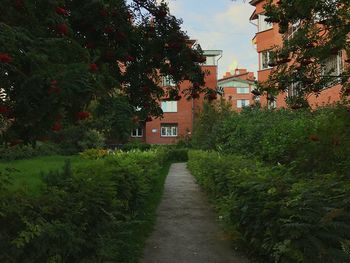 House amidst plants against sky