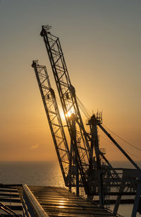 Cranes at sunset