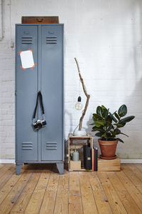 Potted plant on wooden floor against wall