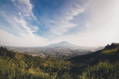 Scenic view of landscape against sky