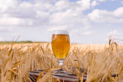 Close-up of beer glass on field against sky