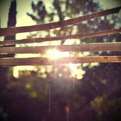 Close-up of water drops on window