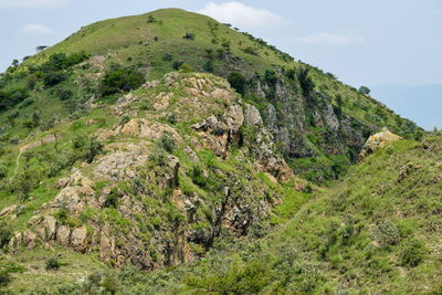 Savannah grassland landscapes in the rock formations at mount ole sekut in rift valley, kenya