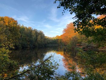 Trees by lake against sky during autumn