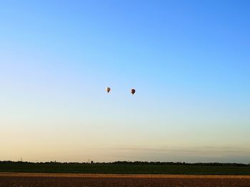 Hot air balloons flying over field against clear blue sky