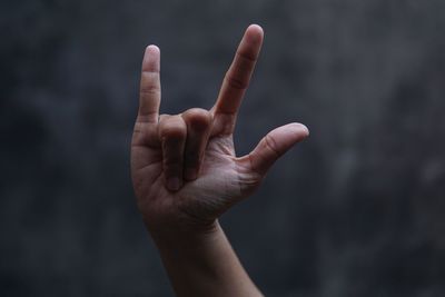 Cropped image of hand gesturing horn sign